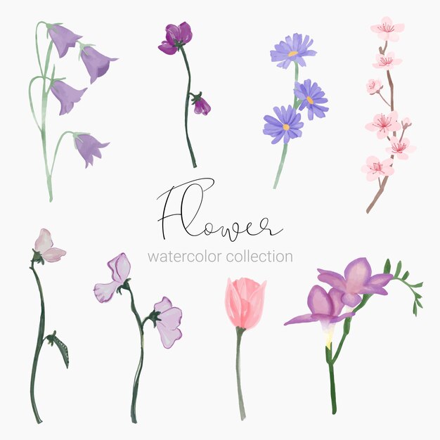 Hermoso ramo de flores y hojas en estilo acuarela.