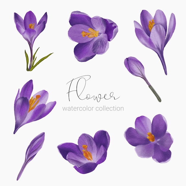 Vector gratuito hermoso ramo de flores y hojas en estilo acuarela.