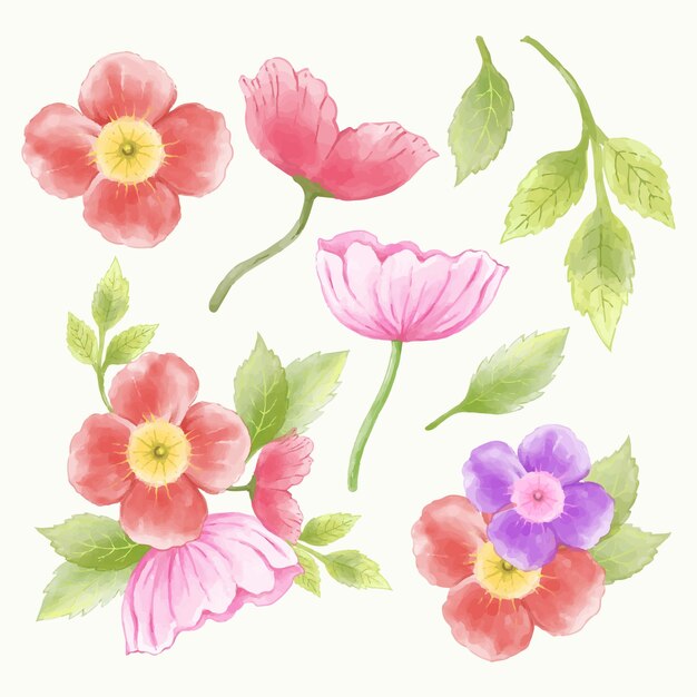 Hermosos ramos de flores y hojas para la decoración en estilo de colores acuáticos