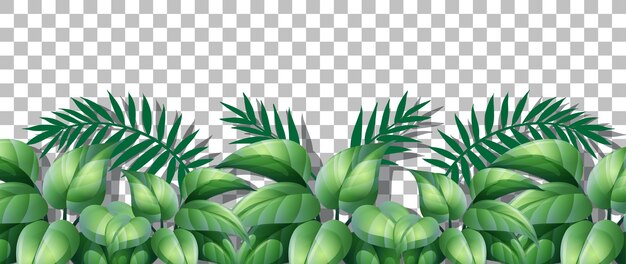 Hierba y plantas sobre fondo transparente para decoración.