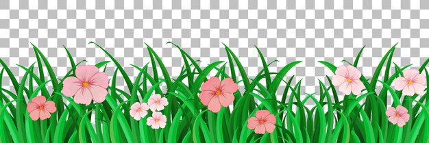 Hierba y plantas sobre fondo transparente para decoración.