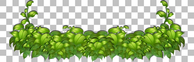 Vector gratuito hierba y plantas sobre fondo transparente para decoración.