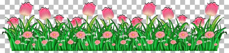 Vector gratuito hierba y plantas sobre fondo transparente para decoración.