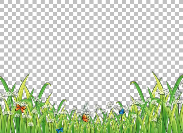 Hierba verde con mariposas en transparente