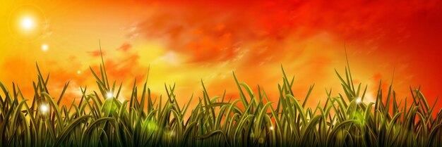 Hierba verde realista bajo el cielo naranja del amanecer