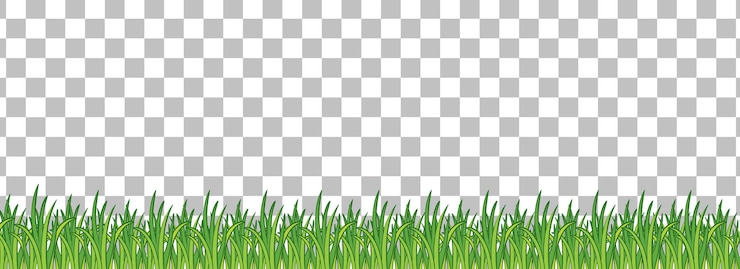 Vector gratuito hierba verde sobre fondo transparente