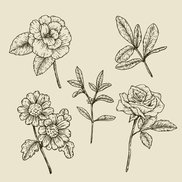 Vector gratuito hierbas botánicas y flores silvestres en estilo vintage