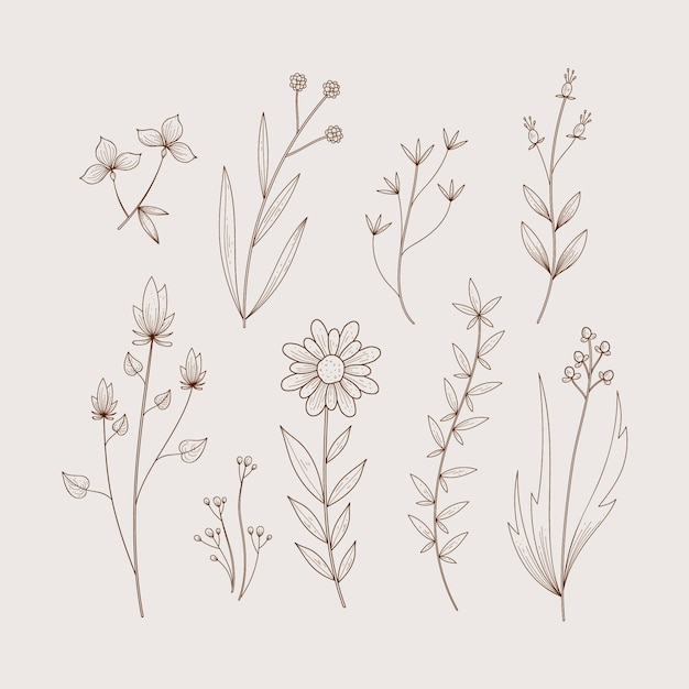 Hierbas y flores silvestres en estilo retro