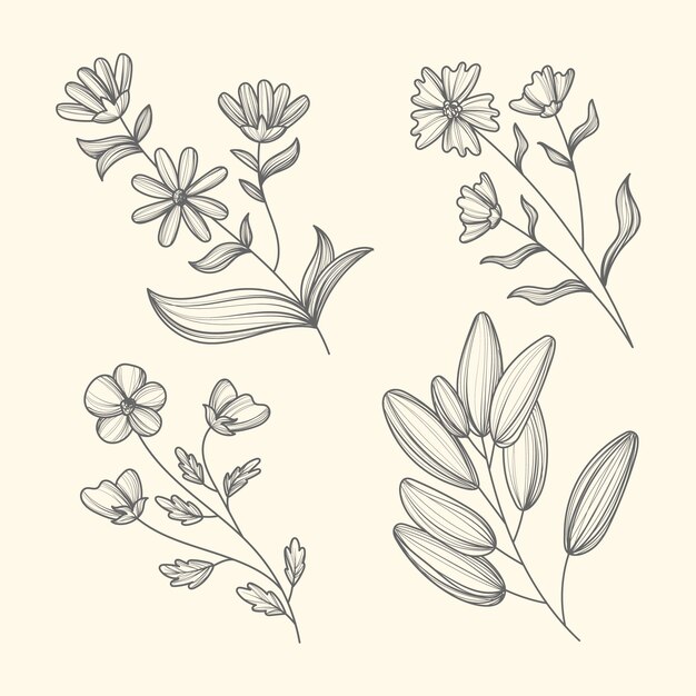 Hierbas realistas y flores silvestres.