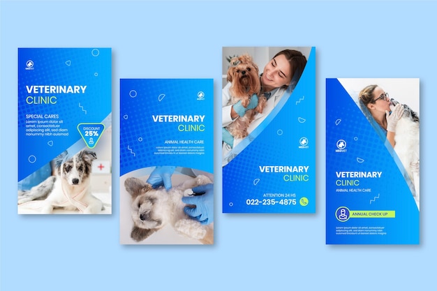 Vector gratuito historias veterinarias de instagram