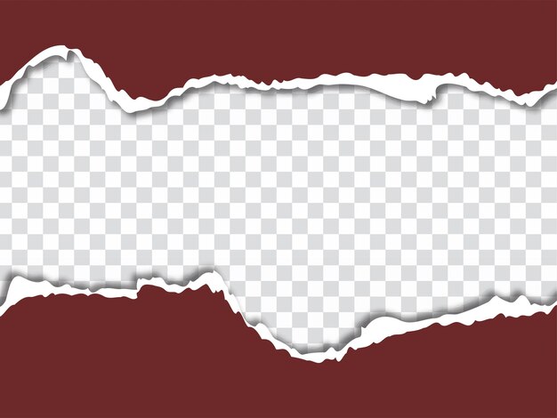 Hoja de estilo de papel rasgado sobre fondo transparente