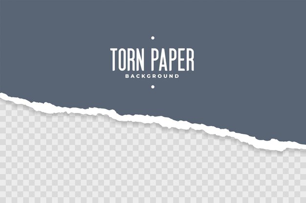 Hoja de papel rota rasgada sobre fondo transparente