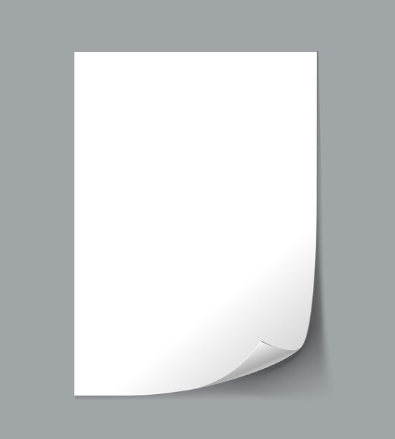 Hoja de papel vacía blanca con rizo