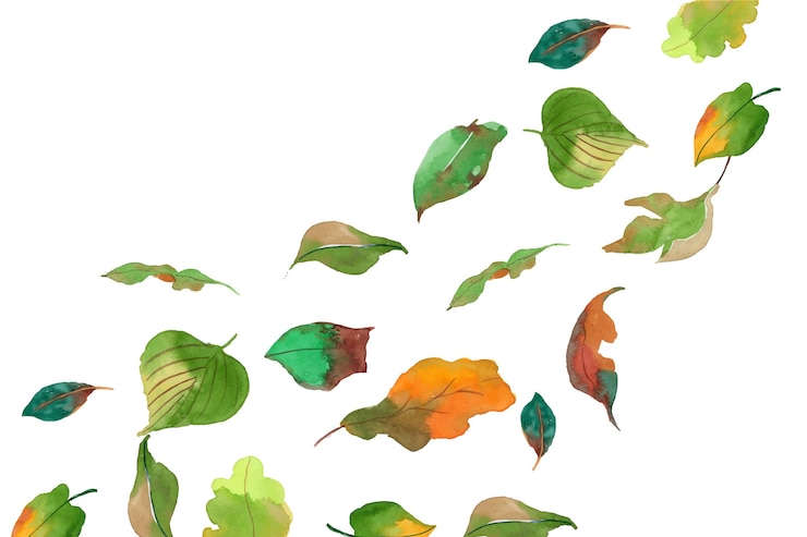 Vector gratuito hojas de acuarela cayendo