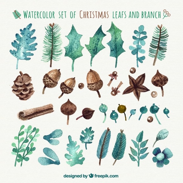 Hojas de la acuarela de Navidad y ramas