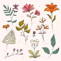 Vector gratuito hojas coloridas y colección floral dibujada a mano de primavera