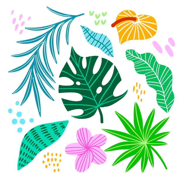 Vector gratuito hojas y flores tropicales coloridas