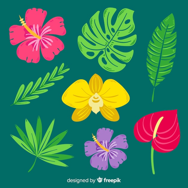 Hojas y flores tropicales dibujadas a mano