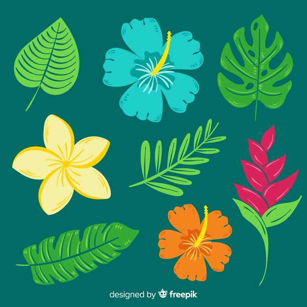 Hojas y flores tropicales dibujadas a mano