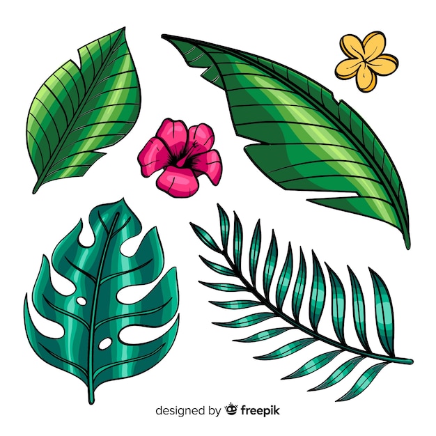 Vector gratuito hojas y flores tropicales dibujadas a mano