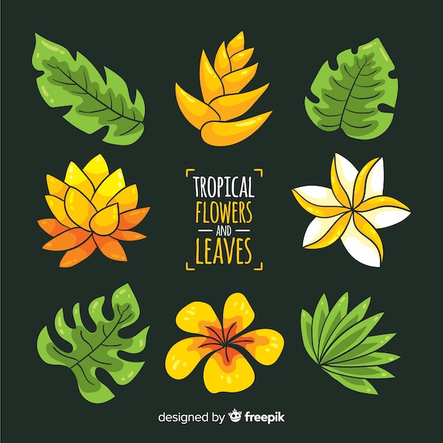 Vector gratuito hojas y flores tropicales dibujadas a mano