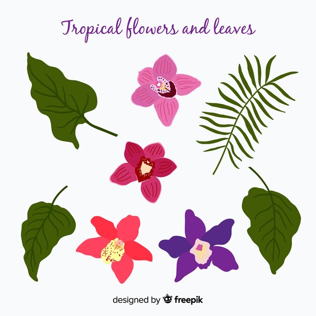 Hojas y flores tropicales dibujadas a mano