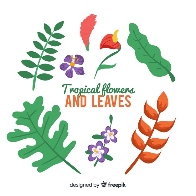 Hojas y flores tropicales dibujadas a mano