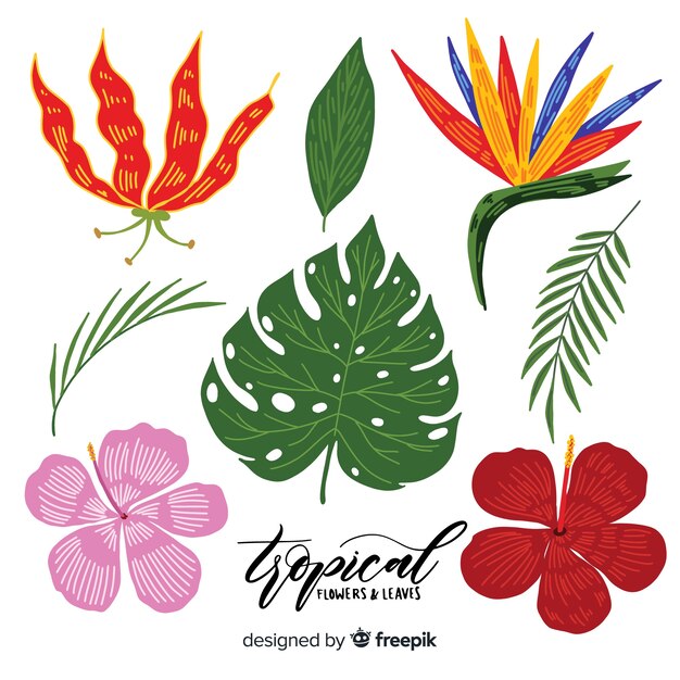 Hojas y flores tropicales dibujadas a mano
