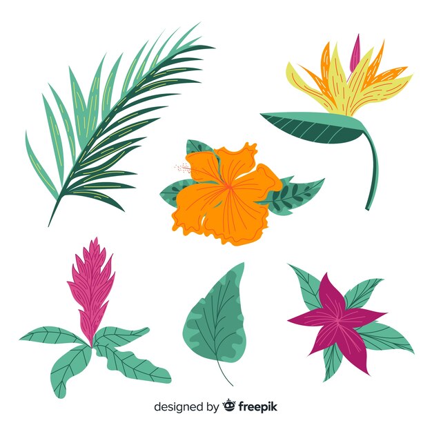 Hojas y flores tropicales dibujadas a mano