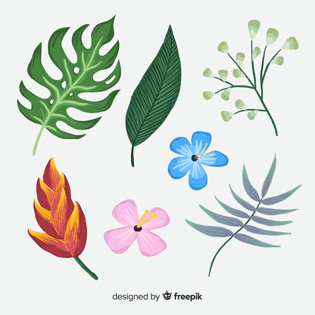Hojas y flores tropicales dibujadas a mano