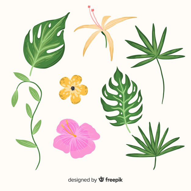 Hojas y flores tropicales dibujadas a mano