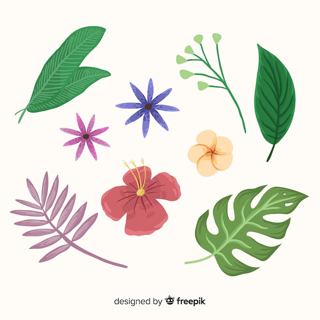 Hojas y flores tropicales dibujadas a mano
