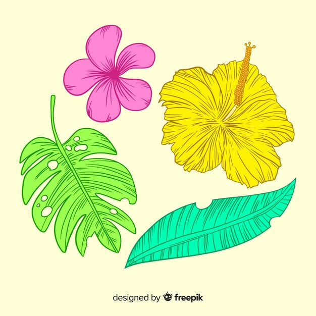 Hojas y flores tropicales dibujadas a mano