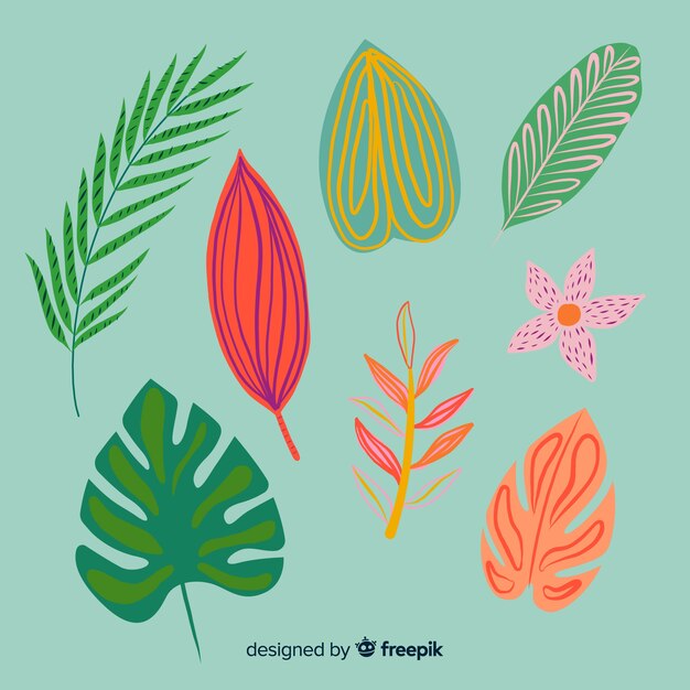 Hojas y flores tropicales dibujadas a mano
