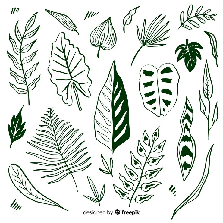 Vector gratuito hojas y flores tropicales dibujadas a mano