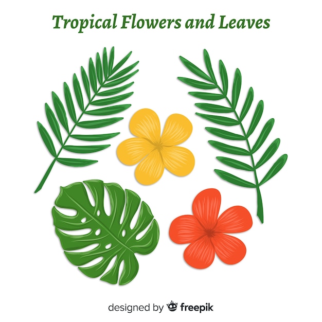 Hojas y flores tropicales dibujadas a mano