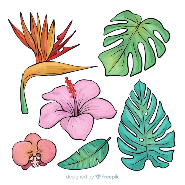 Vector gratuito hojas y flores tropicales dibujado a mano