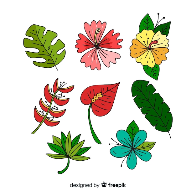 Vector gratuito hojas y flores tropicales dibujado a mano