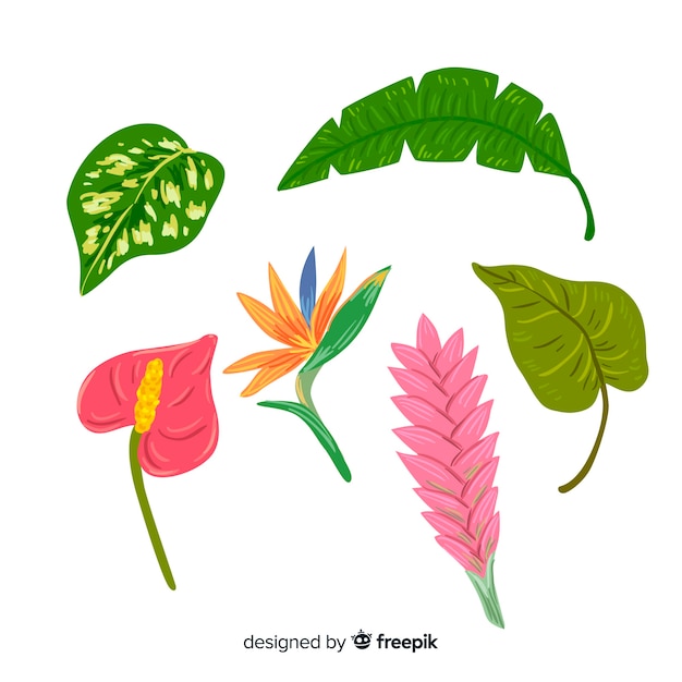 Vector gratuito hojas y flores tropicales dibujado a mano