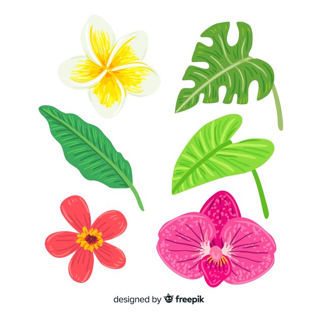 Hojas y flores tropicales dibujado a mano