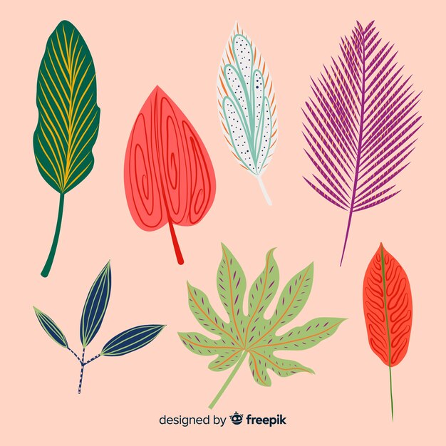 Hojas y flores tropicales dibujado a mano