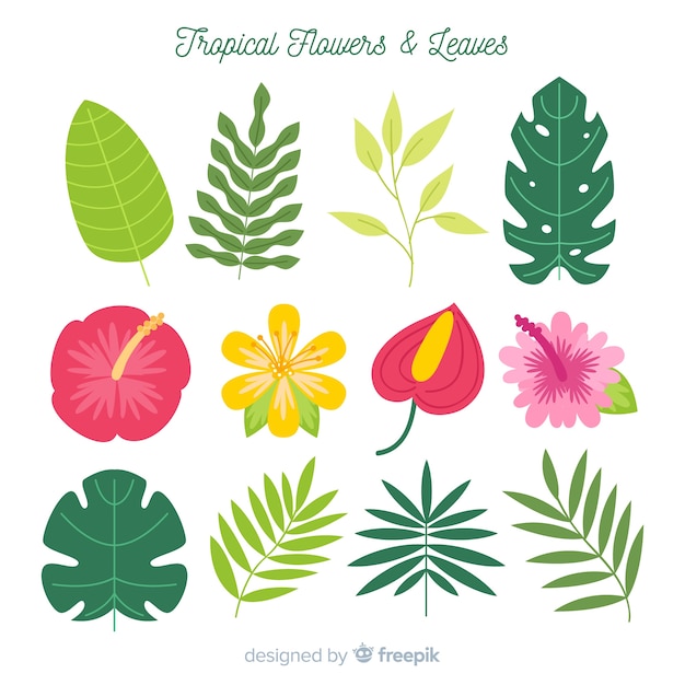 Hojas y flores tropicales en diseño plano