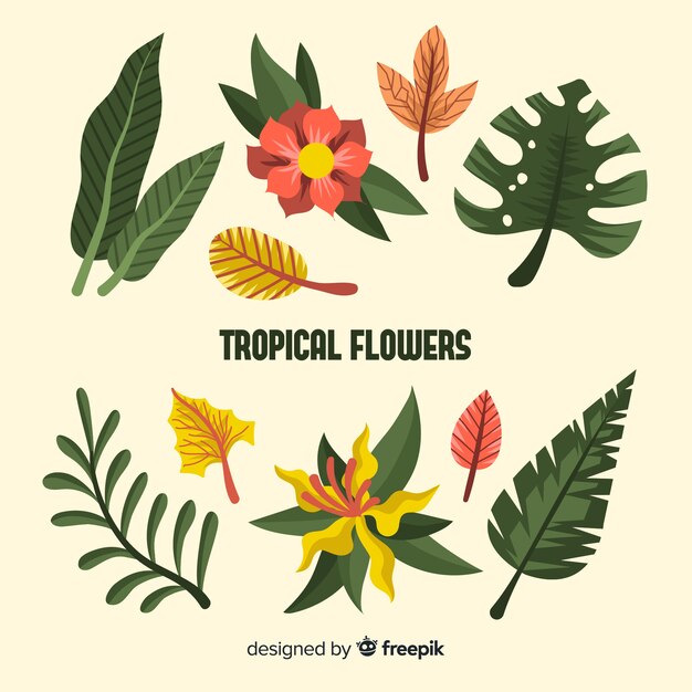 Hojas y flores tropicales en diseño plano