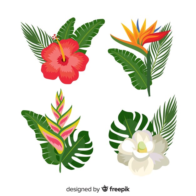 Hojas y flores tropicales en diseño plano