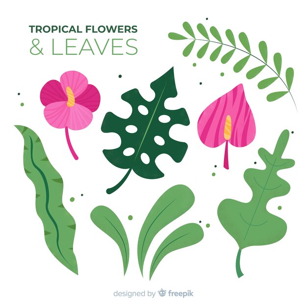 Hojas y flores tropicales en diseño plano