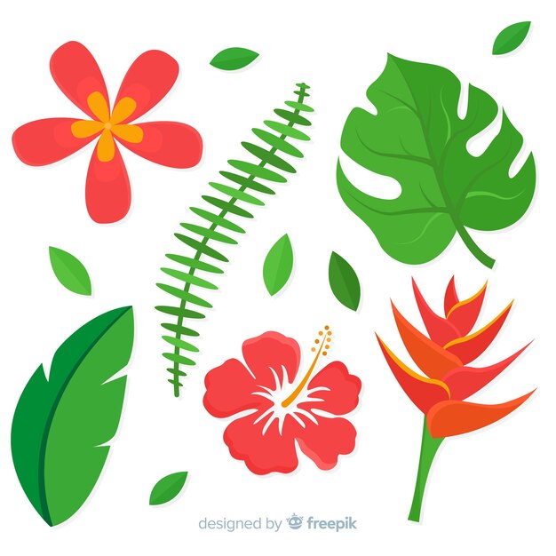 Hojas y flores tropicales en diseño plano