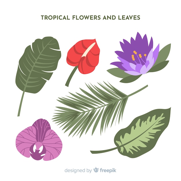 Vector gratuito hojas y flores tropicales en diseño plano