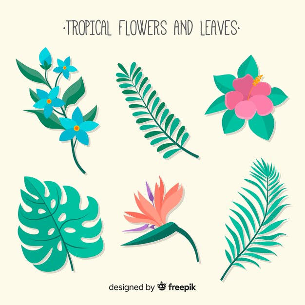 Hojas y flores tropicales