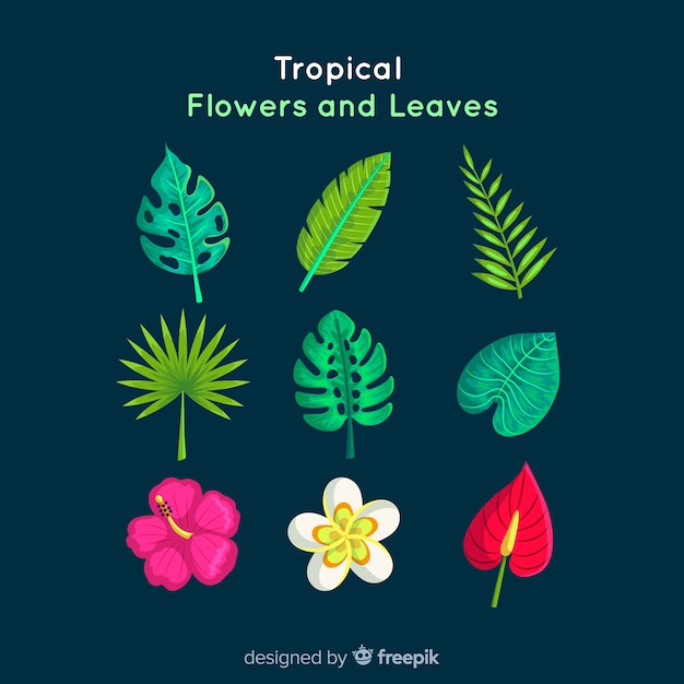 Hojas y flores tropicales