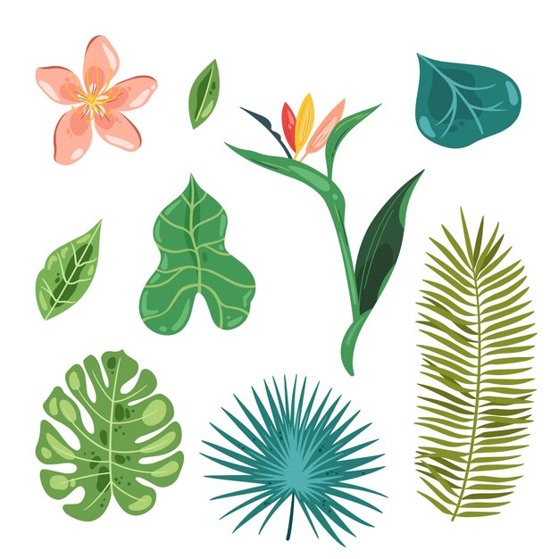 Hojas y flores tropicales
